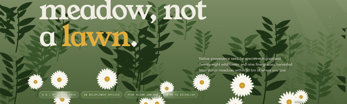 Meadowlight preview